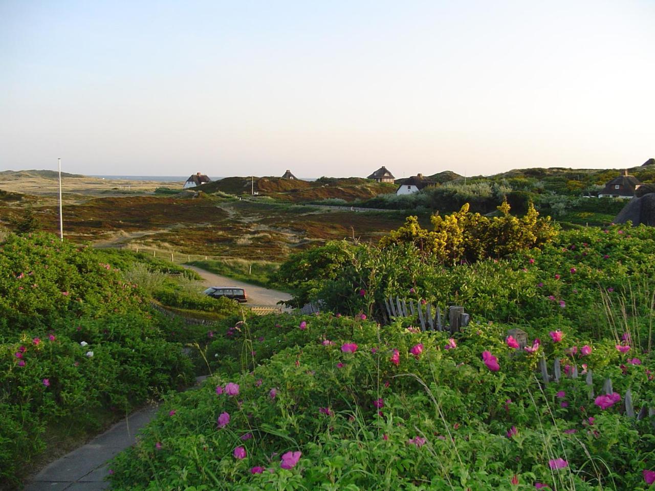 Ferienhaus Giebelhaus F Westerland